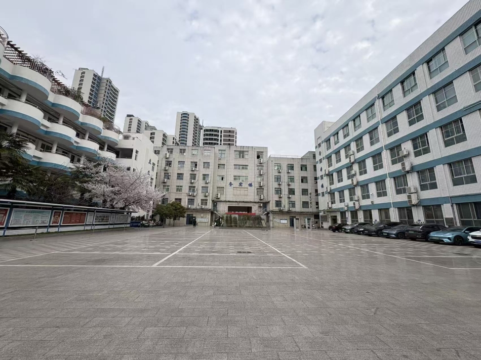 校园前院